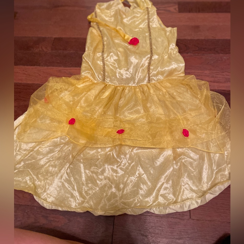 Disney Belle Beauty and Beast Dog Costume XXL Costume and Wig!
